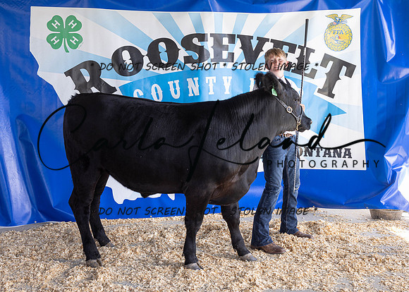 2023 Roosevelt County Fair Beef Show-1807