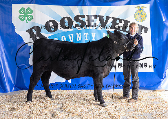 2023 Roosevelt County Fair Beef Show-1798