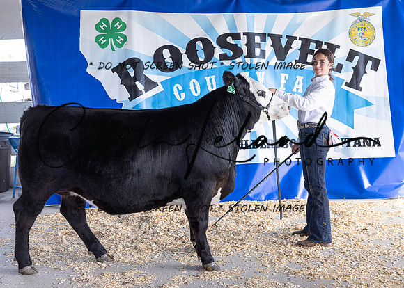 2023 Roosevelt County Fair Beef Show-1792