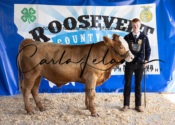 2023 Roosevelt County Fair Beef Show-1802