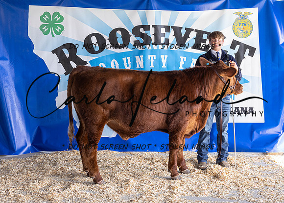 2023 Roosevelt County Fair Beef Show-1810