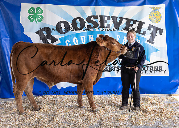 2023 Roosevelt County Fair Beef Show-1813