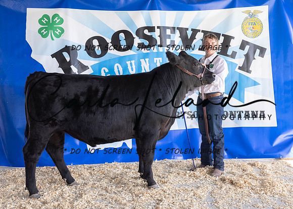 2023 Roosevelt County Fair Beef Show-1822