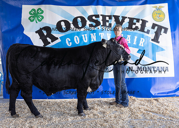 2023 Roosevelt County Fair Beef Show-1826