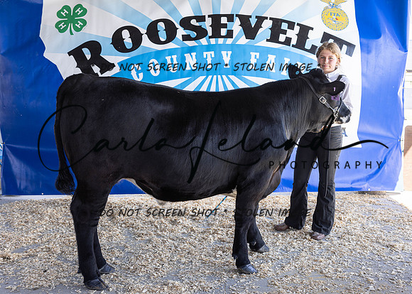 2023 Roosevelt County Fair Beef Show-1832