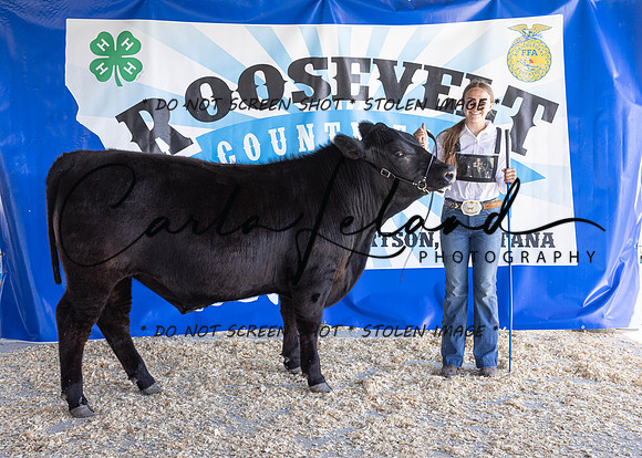 2023 Roosevelt County Fair Beef Show-1839