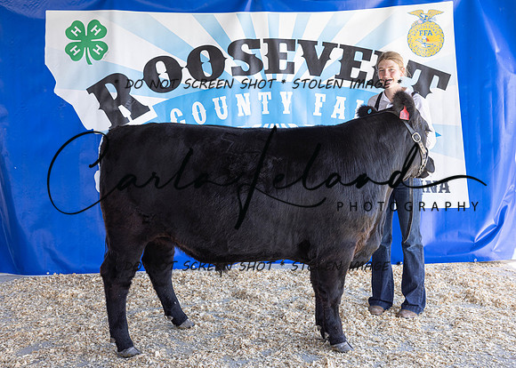 2023 Roosevelt County Fair Beef Show-1843