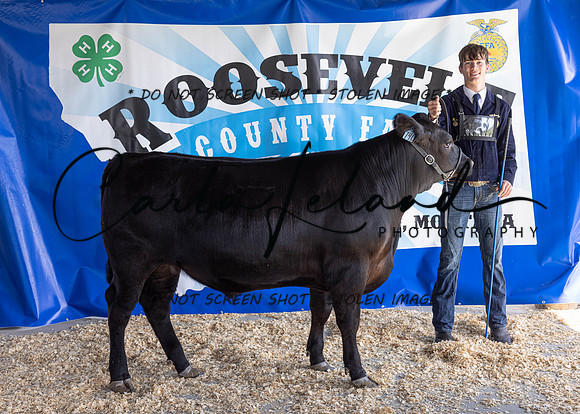 2023 Roosevelt County Fair Beef Show-1820