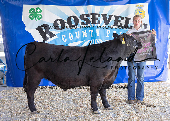 2023 Roosevelt County Fair Beef Show-1854