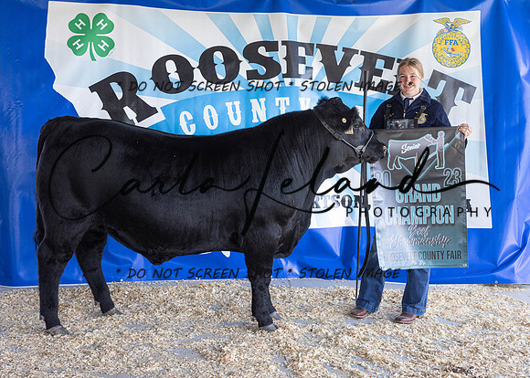 2023 Roosevelt County Fair Beef Show-1859