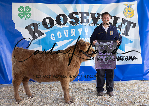 2023 Roosevelt County Fair Beef Show-1865