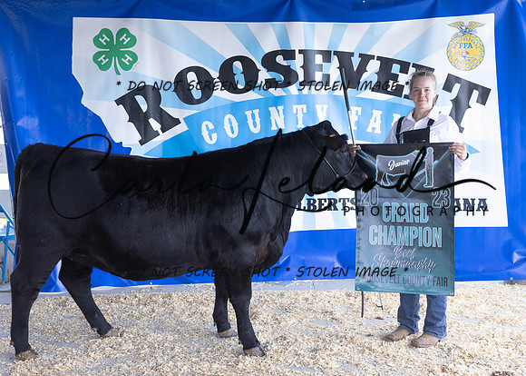 2023 Roosevelt County Fair Beef Show-1874