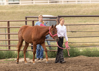 2023 Roosevelt County Fair Horse Show-5