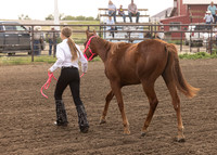 2023 Roosevelt County Fair Horse Show-8