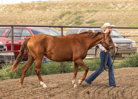 2023 Roosevelt County Fair Horse Show-10