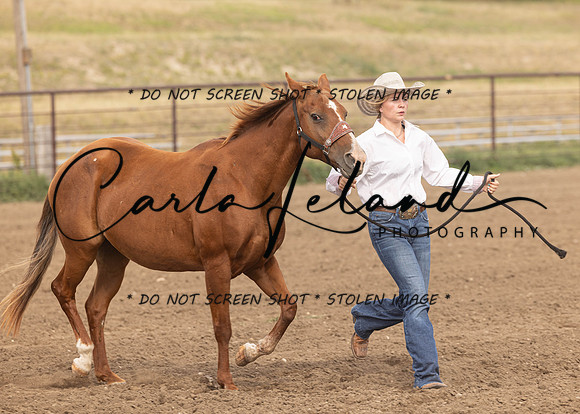 2023 Roosevelt County Fair Horse Show-11