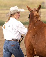 2023 Roosevelt County Fair Horse Show-13