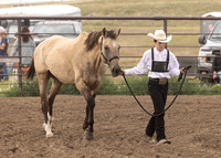 2023 Roosevelt County Fair Horse Show-17