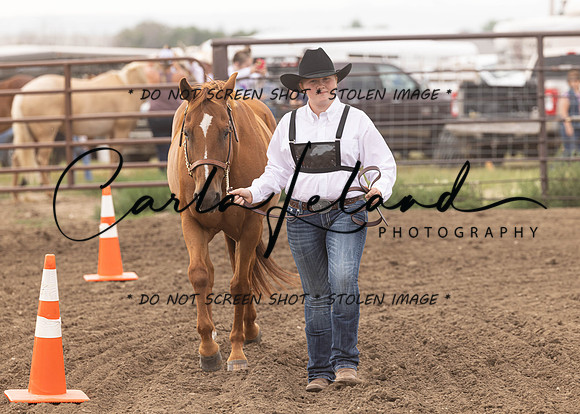 2023 Roosevelt County Fair Horse Show-19