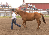 2023 Roosevelt County Fair Horse Show-20