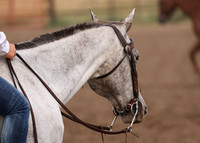 2023 Roosevelt County Fair Horse Show-59