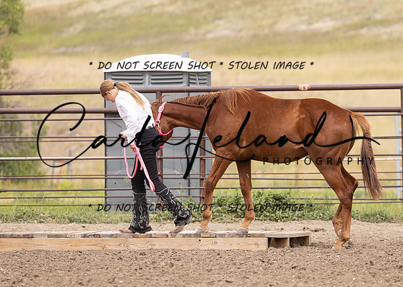 2023 Roosevelt County Fair Horse Show-285
