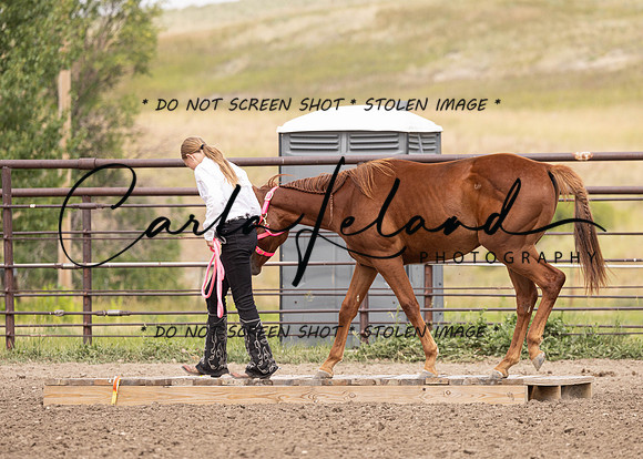 2023 Roosevelt County Fair Horse Show-286