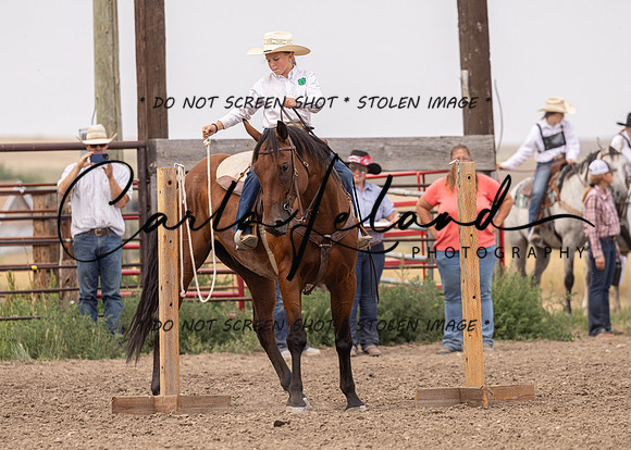 2023 Roosevelt County Fair Horse Show-293