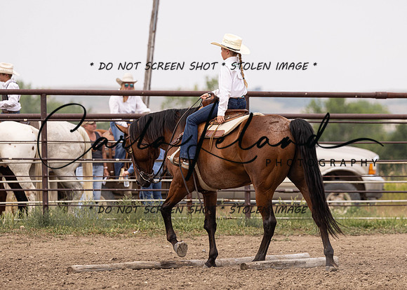 2023 Roosevelt County Fair Horse Show-297
