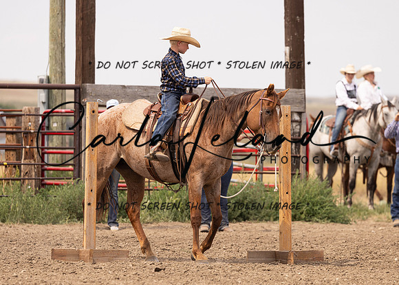 2023 Roosevelt County Fair Horse Show-298
