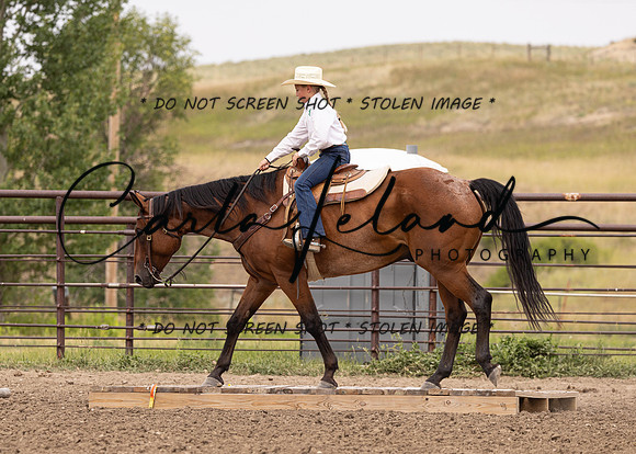 2023 Roosevelt County Fair Horse Show-296