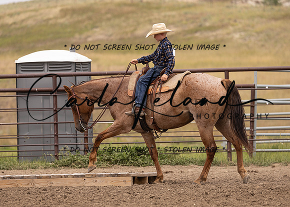 2023 Roosevelt County Fair Horse Show-301