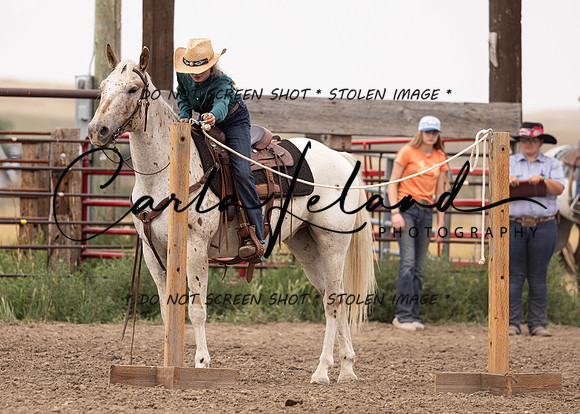 2023 Roosevelt County Fair Horse Show-310