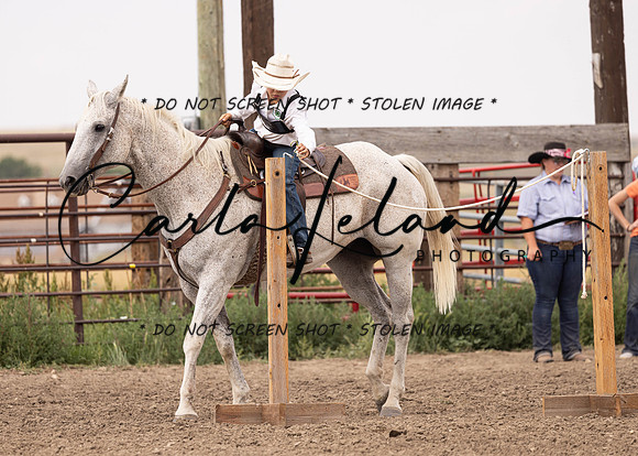 2023 Roosevelt County Fair Horse Show-319