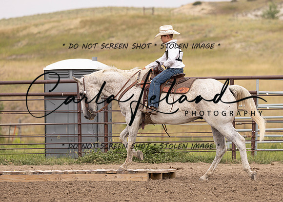 2023 Roosevelt County Fair Horse Show-324
