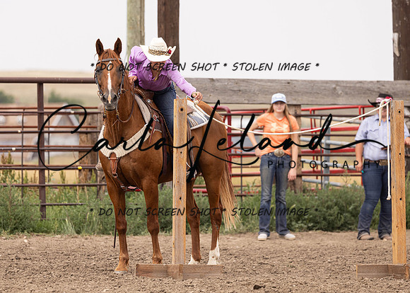 2023 Roosevelt County Fair Horse Show-326