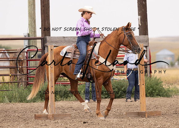 2023 Roosevelt County Fair Horse Show-327