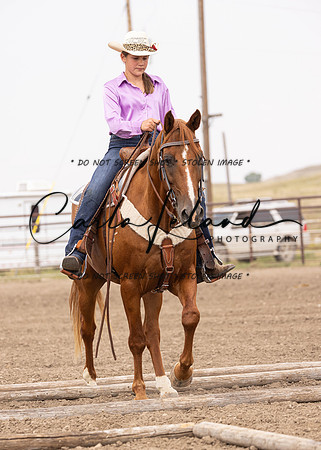 2023 Roosevelt County Fair Horse Show-328
