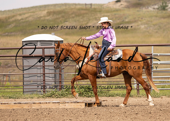 2023 Roosevelt County Fair Horse Show-329