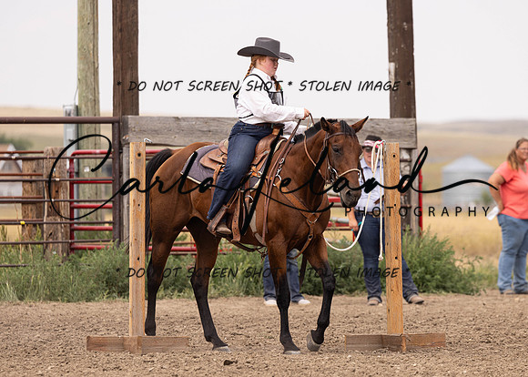 2023 Roosevelt County Fair Horse Show-331