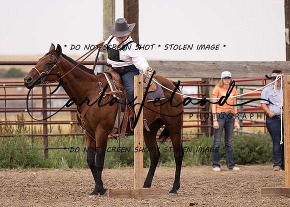 2023 Roosevelt County Fair Horse Show-330