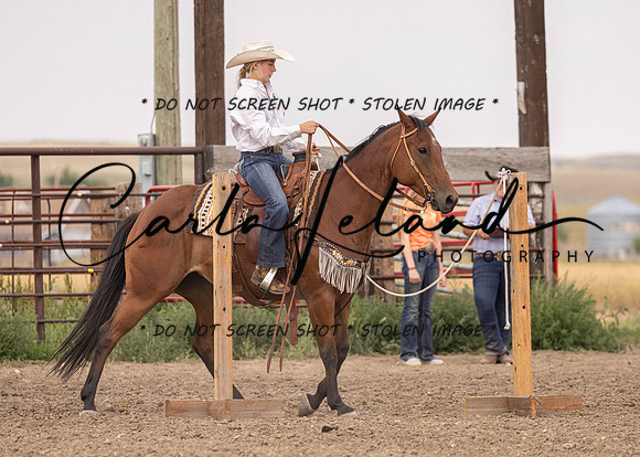 2023 Roosevelt County Fair Horse Show-334