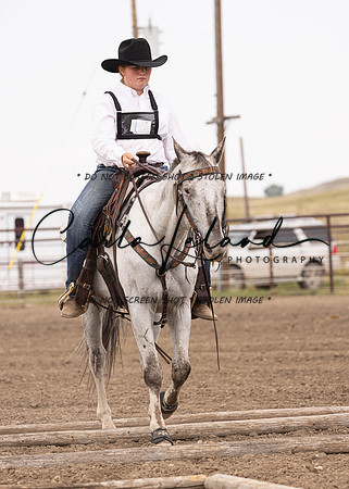 2023 Roosevelt County Fair Horse Show-338