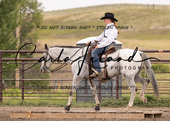 2023 Roosevelt County Fair Horse Show-340