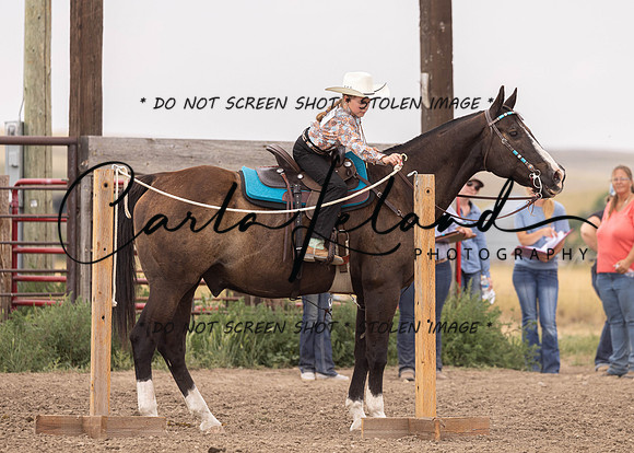 2023 Roosevelt County Fair Horse Show-342