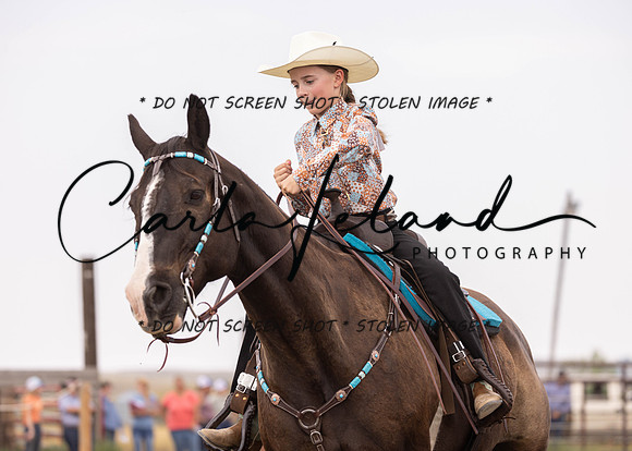 2023 Roosevelt County Fair Horse Show-344