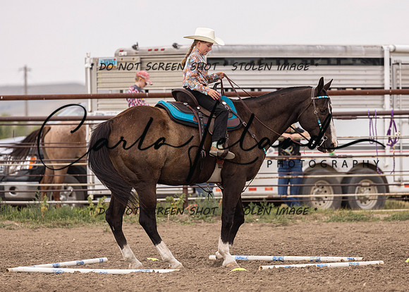 2023 Roosevelt County Fair Horse Show-347