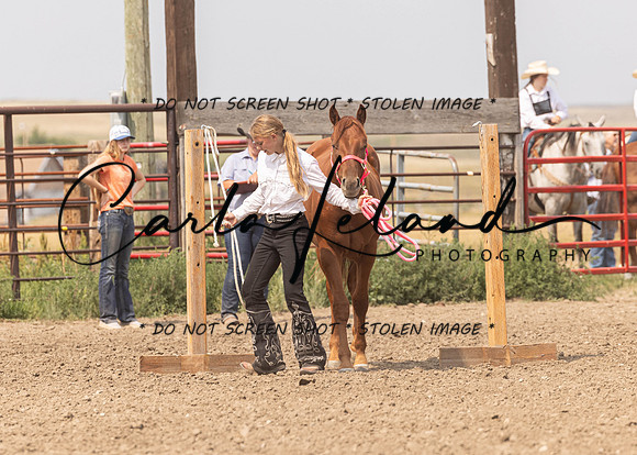 2023 Roosevelt County Fair Horse Show-348