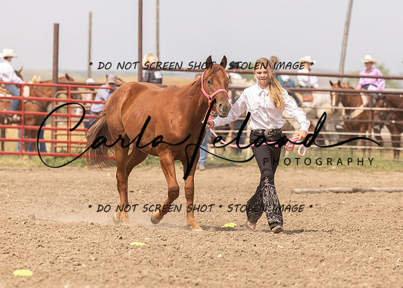 2023 Roosevelt County Fair Horse Show-349