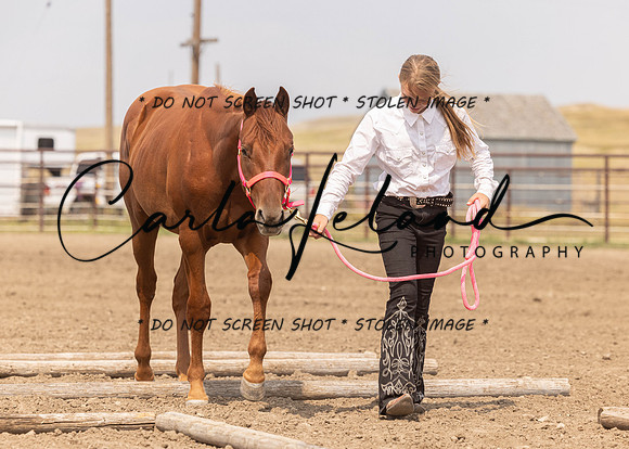2023 Roosevelt County Fair Horse Show-350